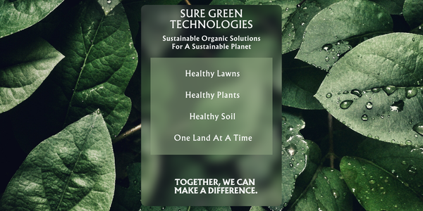 Organics for healthy lawns, plants and soil
